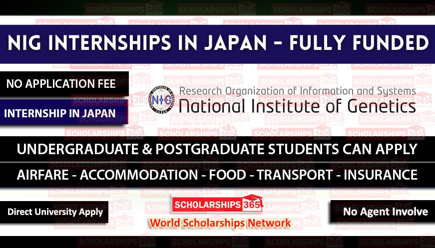 Internship in Japan with NIG in 2023: Funded